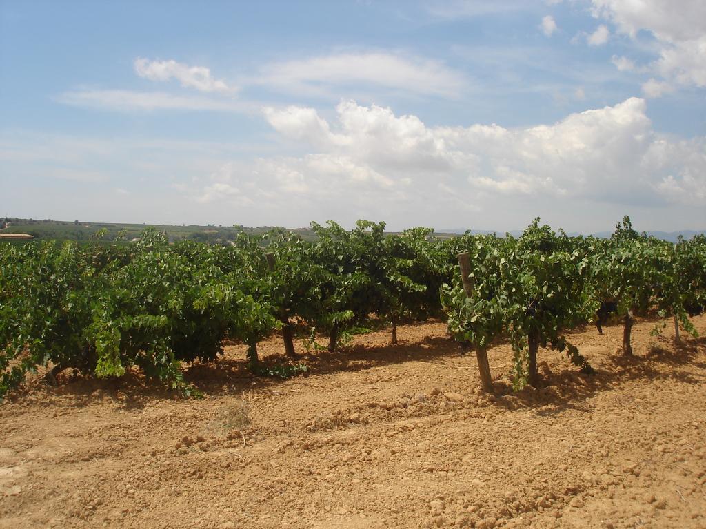 Agroturisme Cal Jeroni Avinyonet del Penedes Экстерьер фото